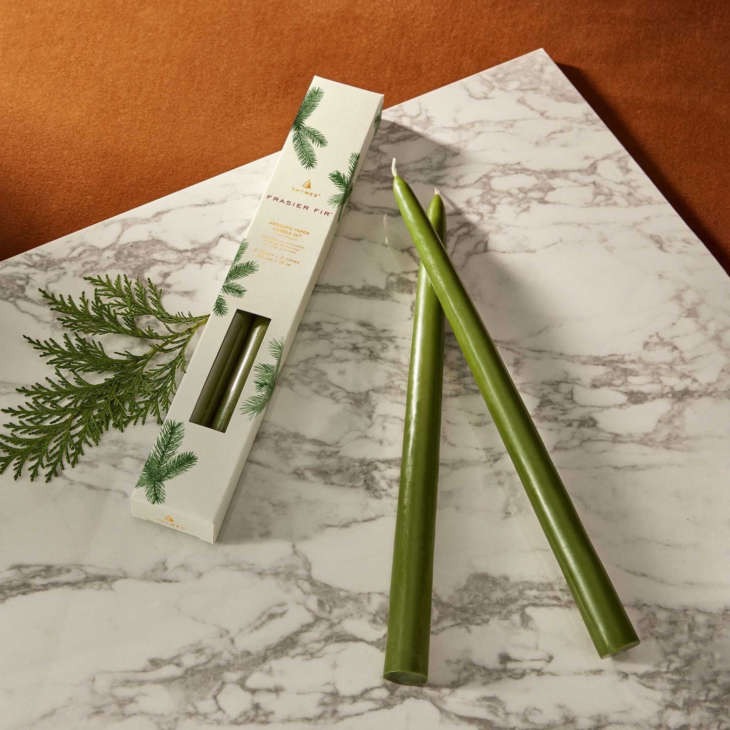 Frasier Fir - 12" Taper