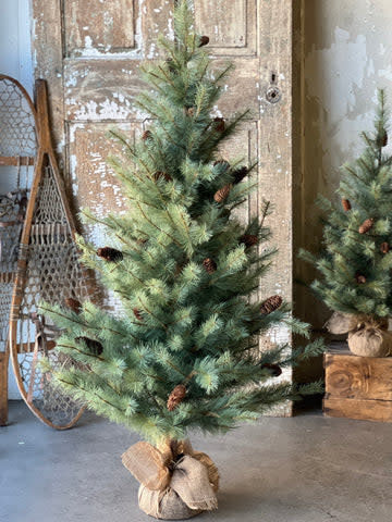 Tree - Woodford Pine 60”