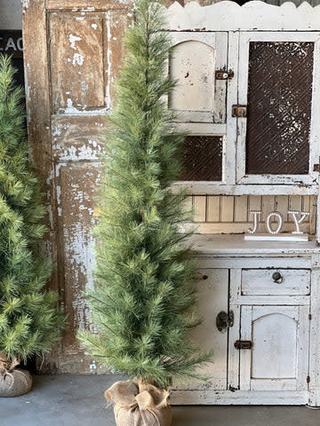 Tree - Timberline Pine 6'