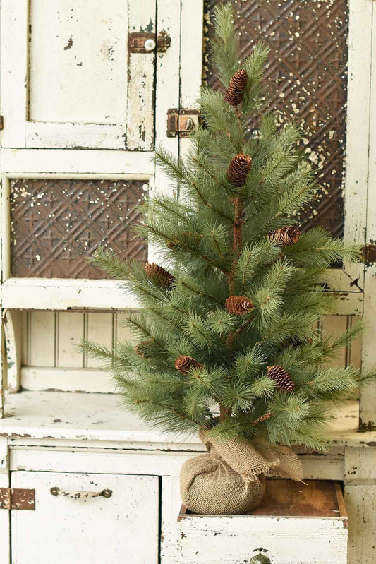 Tree - Woodford Pine 36"