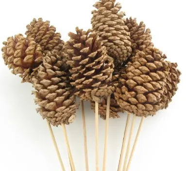 Pine Cone - Natural Large (set of 5)