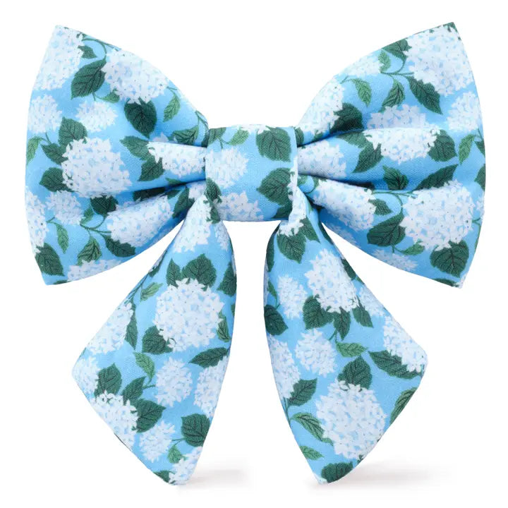 Hydrangea - Lady Bow