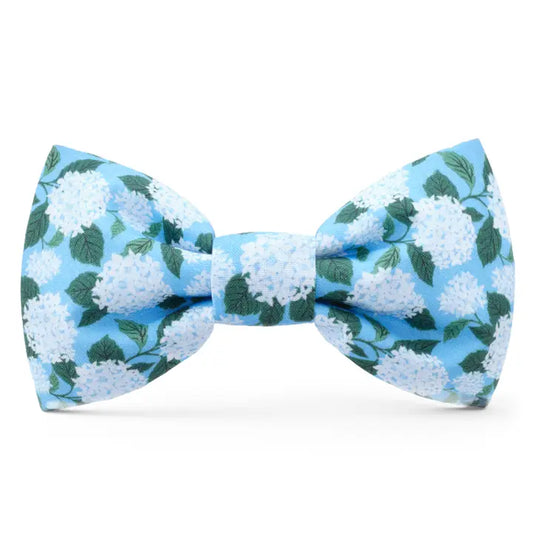 Hydrangea - Bow Tie