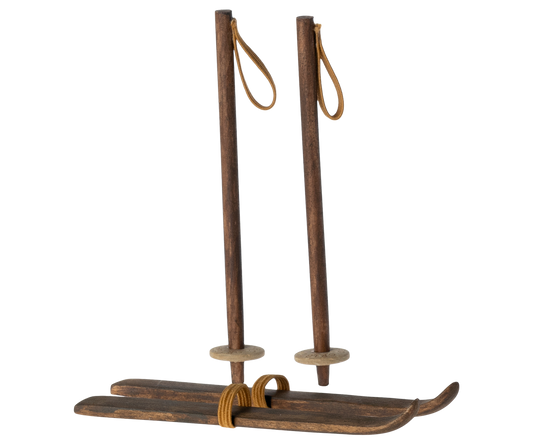 Big Brother & Sister -  Ski & Ski Poles
