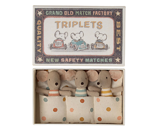 Baby Mice - Triplets