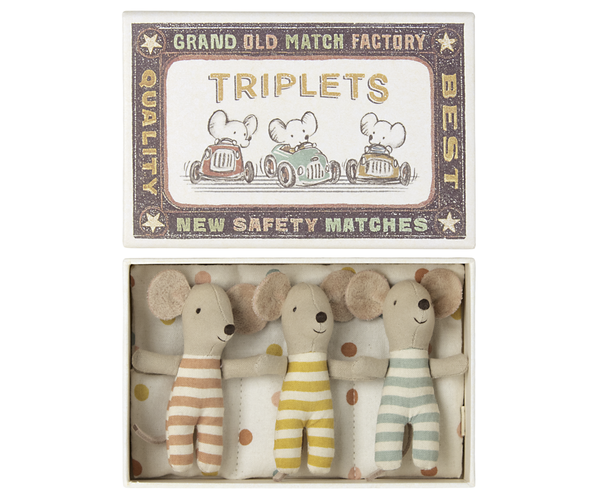 Baby Mice - Triplets