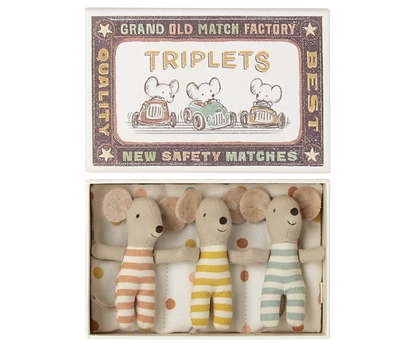 Baby Mice - Triplets