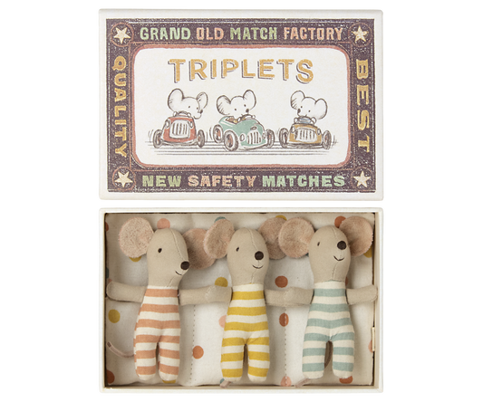 Baby Mice - Triplets