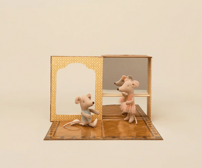 Little Brother & Sister - Ballet Mice in Dance Studio