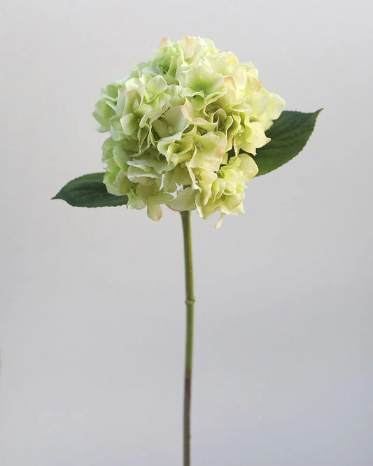Floral Stem - Hydrangea Light Green 18"
