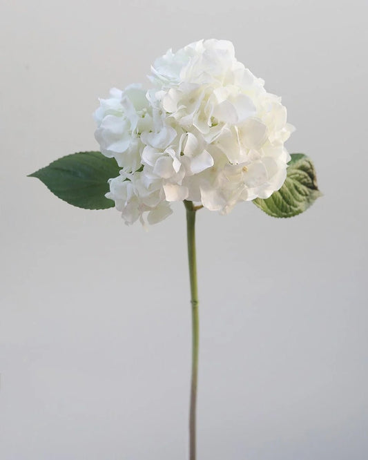 Floral Stem - Hydrangea White 18"