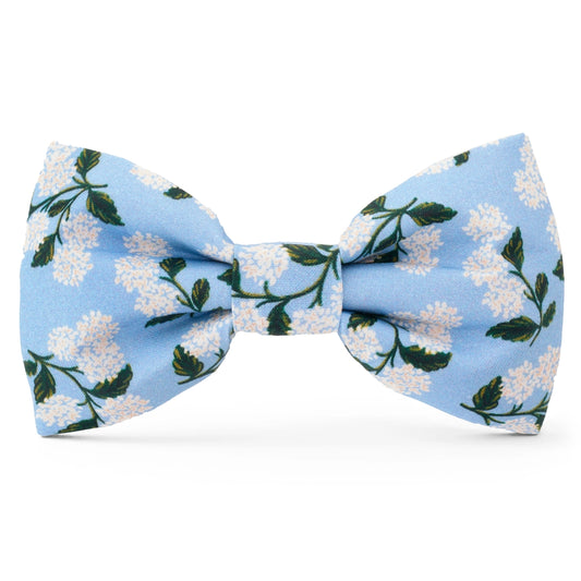 Rifle Paper Co x TFD Hydrangea Spring Dog Bow Tie
