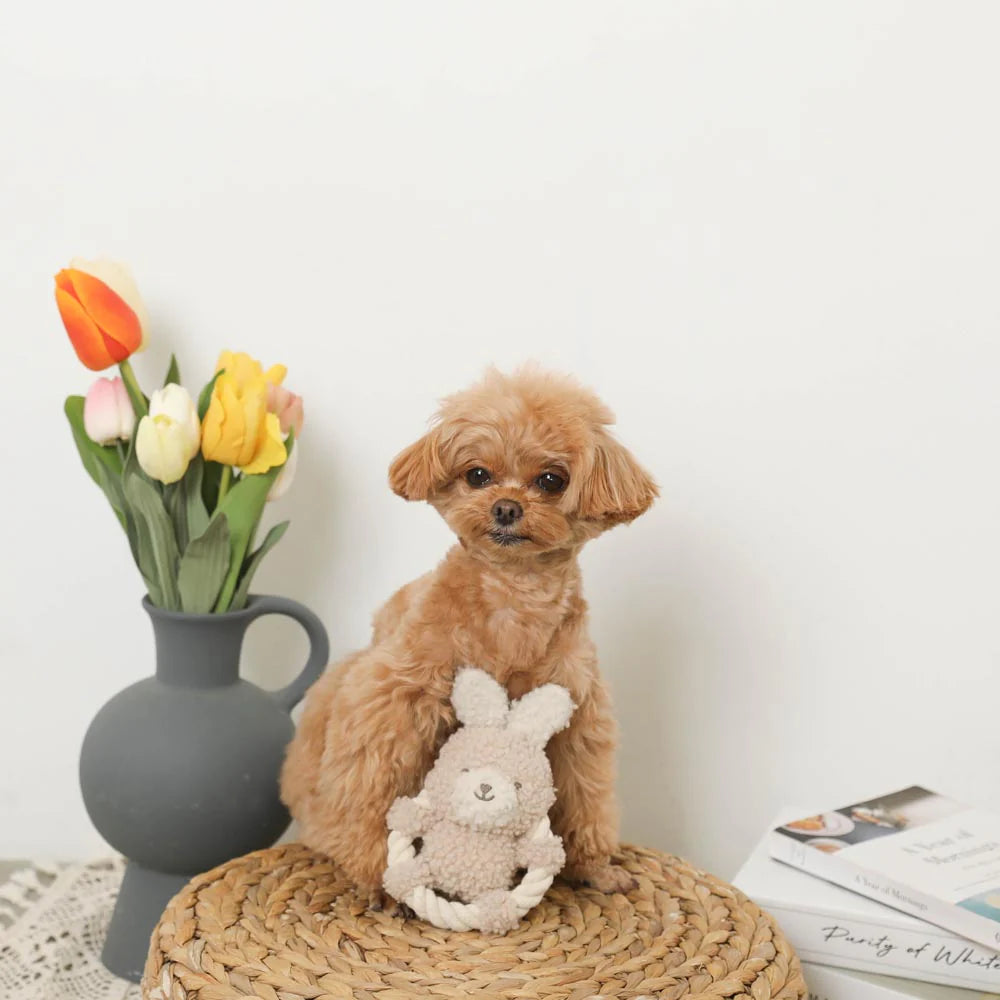 Dog Toy - Plush Rabbit with Rope