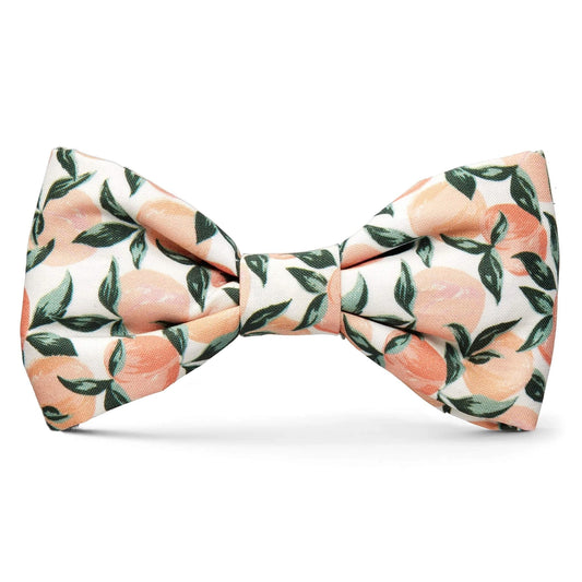 Peaches and Cream - Bow Tie