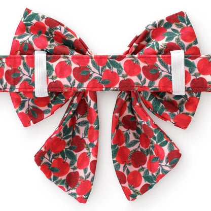 Apple of My Eye Fall - Lady Bow