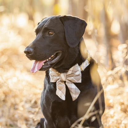 Andover Plaid - Lady Bow