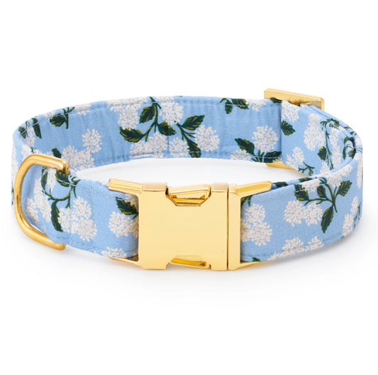 Rifle Paper Co x TFD Hydrangea Spring Dog Collar