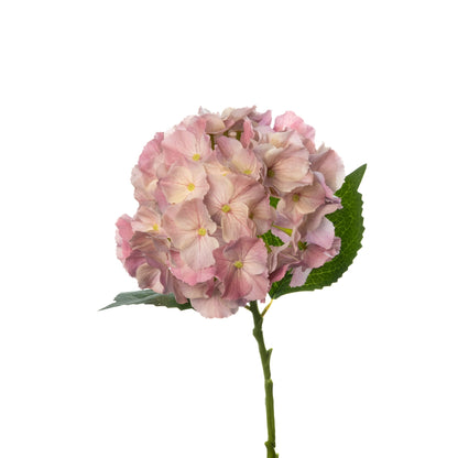 Floral Stem - Hydrangea Dusty Mauve 20"