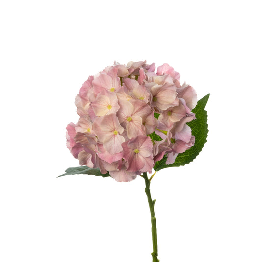 Floral Stem - Hydrangea Dusty Mauve 20"