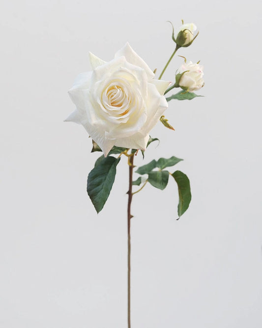 Floral Stem - Rose White 22"