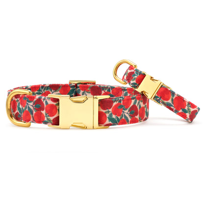 Apple of My Eye Fall Collar