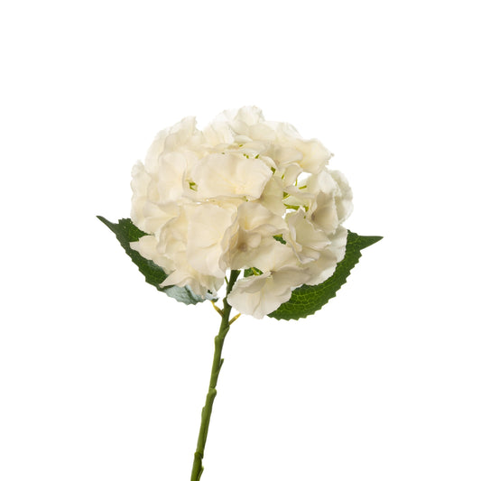 Floral Stem - Hydrangea Ivory 20"
