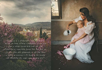 Book - American in Provence by Jamie Beck