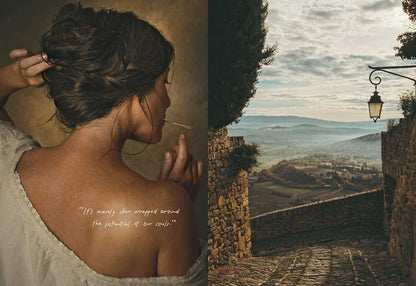 Book - American in Provence by Jamie Beck