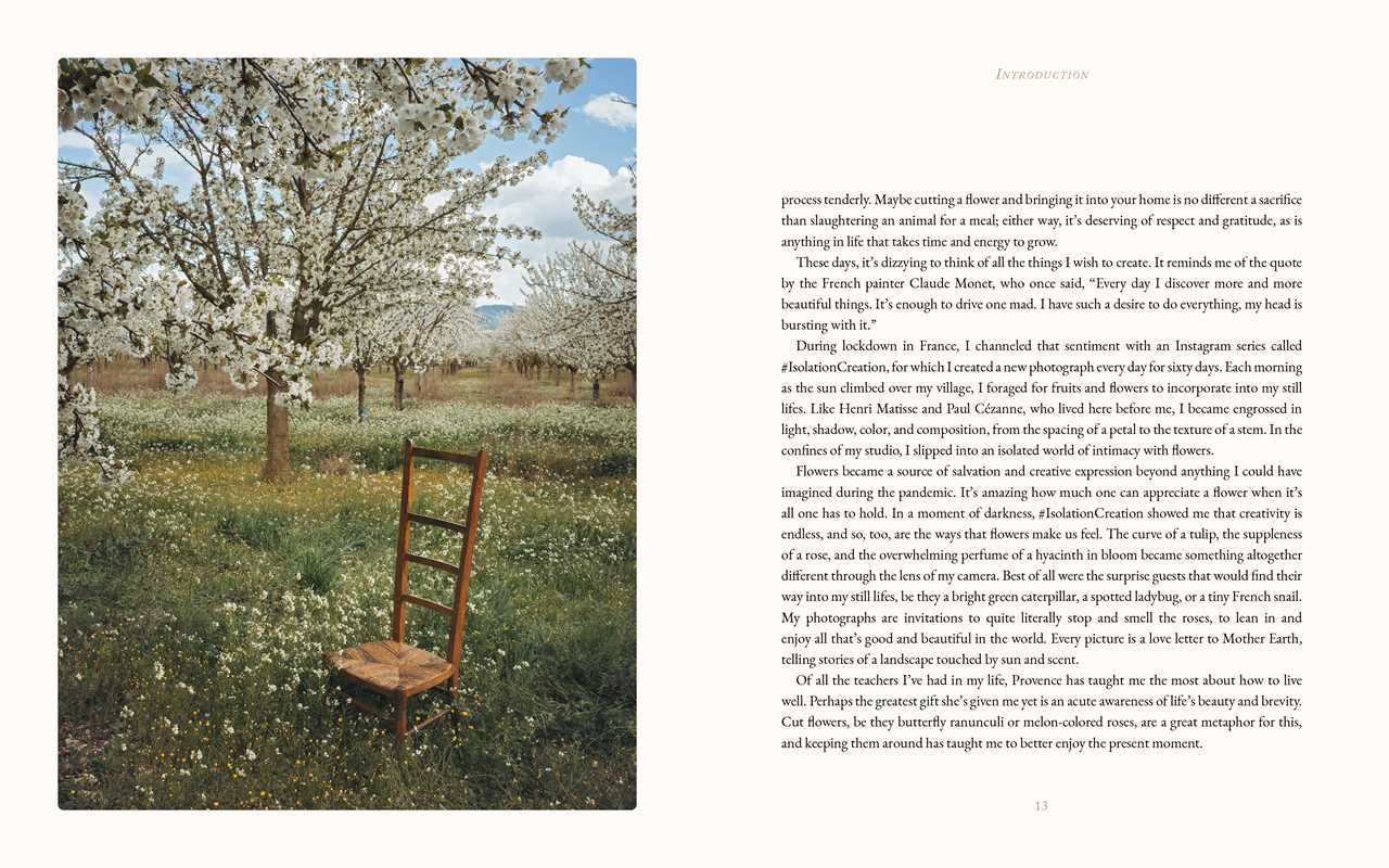 Book - Flowers of Provence by Jamie Beck