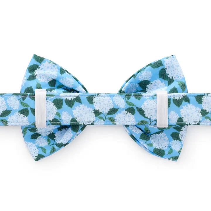 Hydrangea - Bow Tie