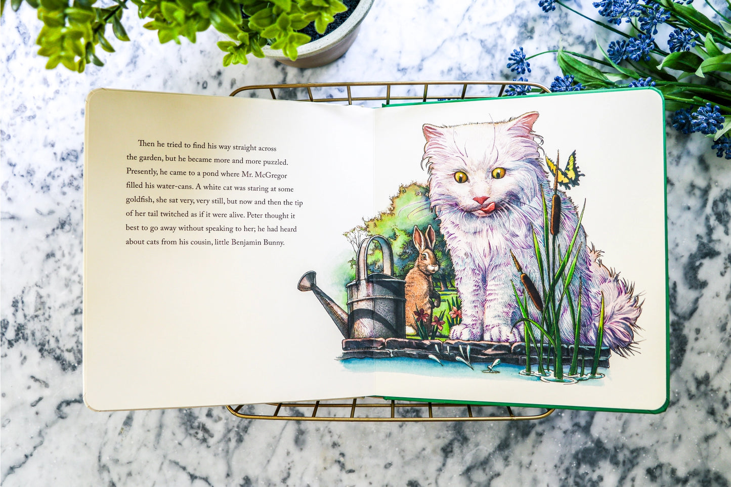 Book - The Classic Tale of Peter Rabbit (Board Book)
