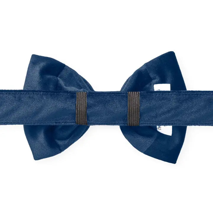 Navy Velvet - Bow Tie