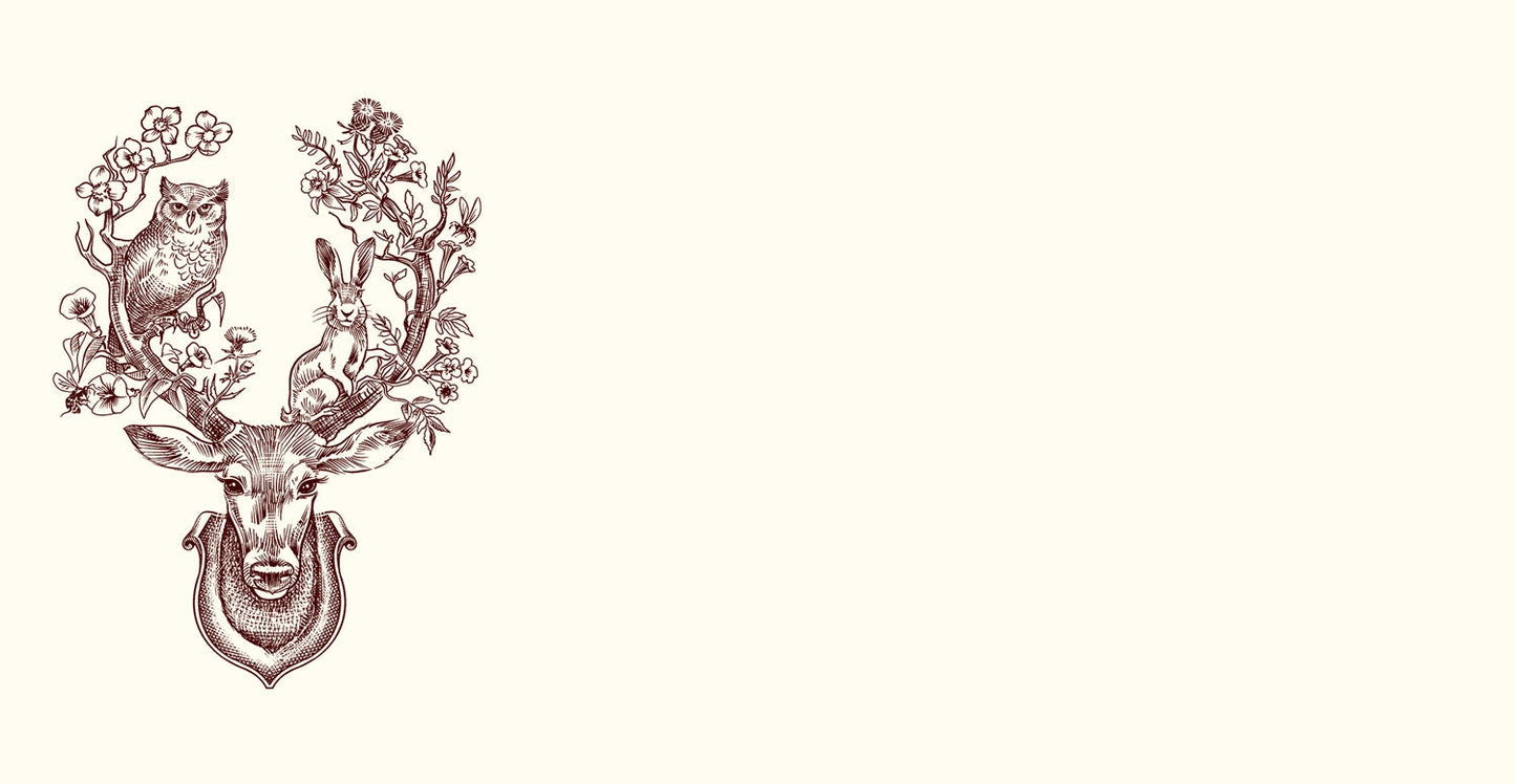 Note Cards - Into the Woods