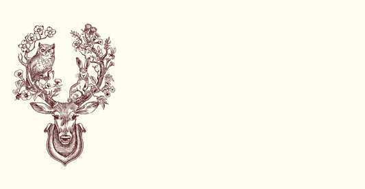 Note Cards - Into the Woods