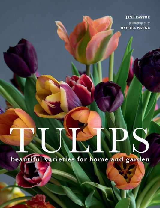 Book - Tulips