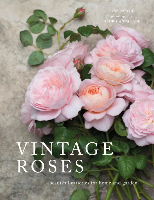 Book - Vintage Roses