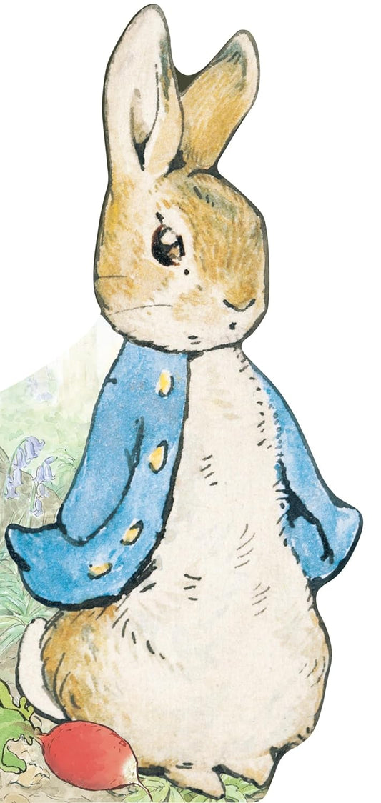 Book - All About Peter (Board Book)