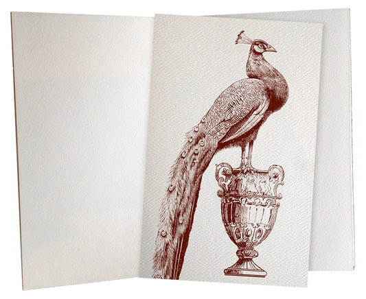 Journal - Peacock