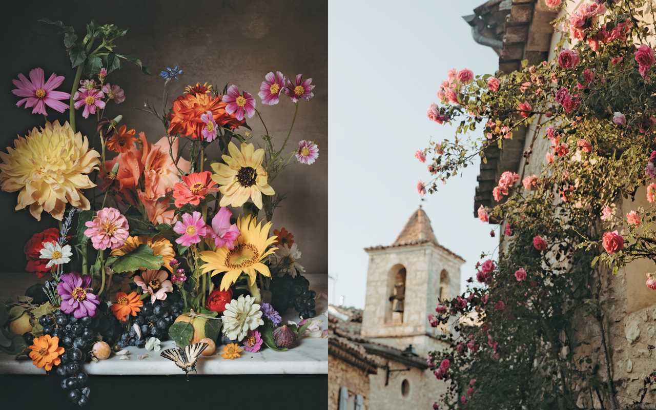Book - Flowers of Provence by Jamie Beck