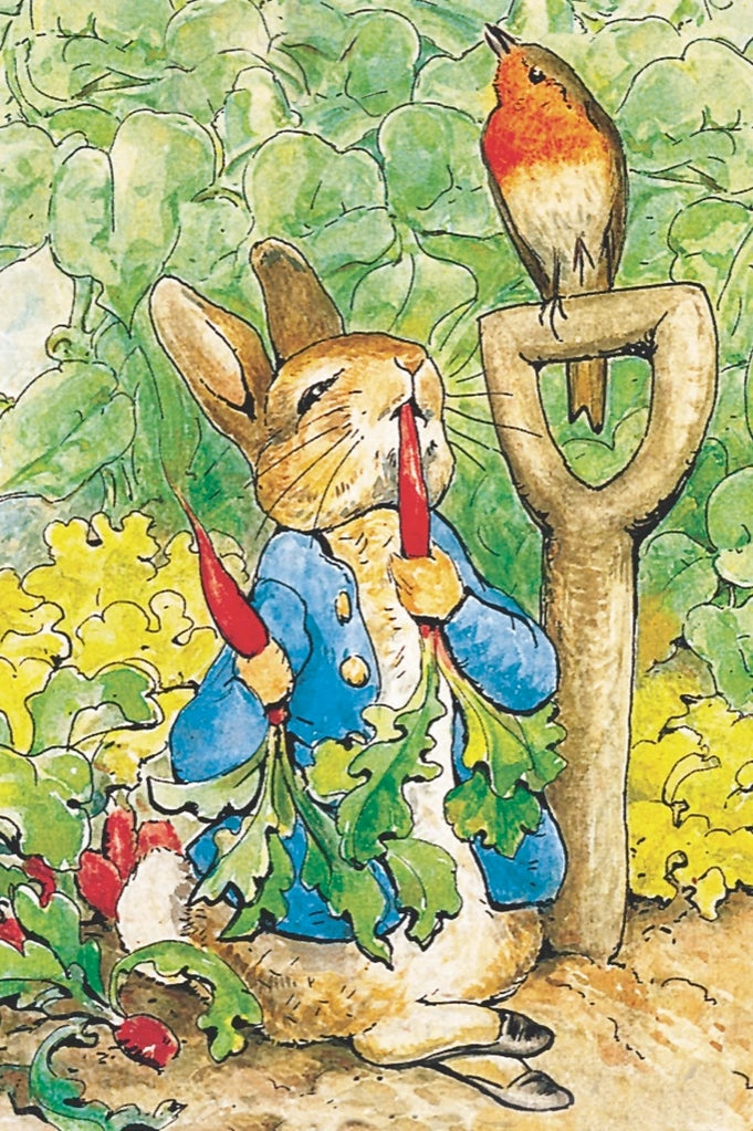 Puzzle - Peter Rabbit - Mini