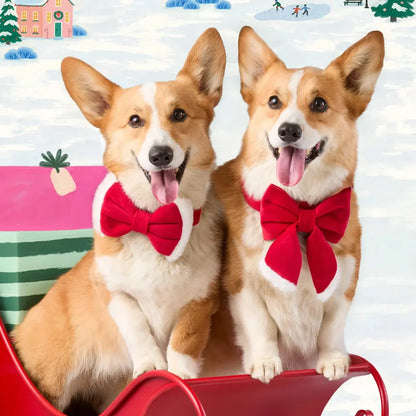 Santa's Paw Velvet - Lady Bow