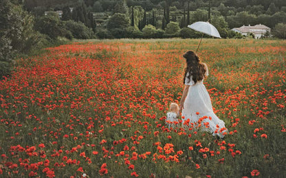 Book - Flowers of Provence by Jamie Beck
