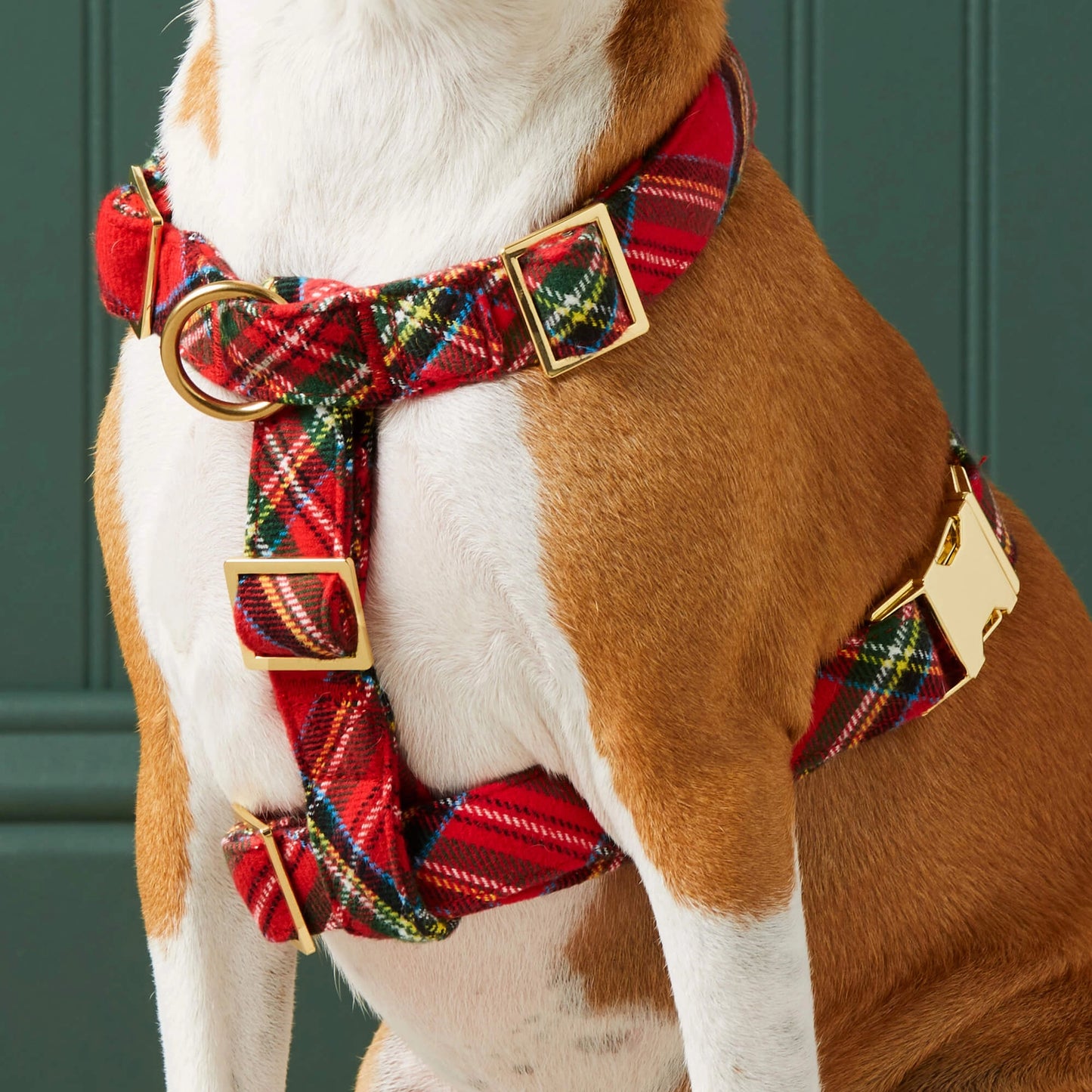 Tartan Plaid Dog Harness