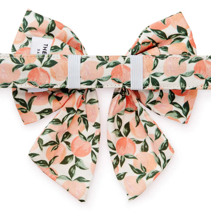 Peaches and Cream - Lady Bow