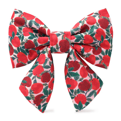 Apple of My Eye Fall - Lady Bow