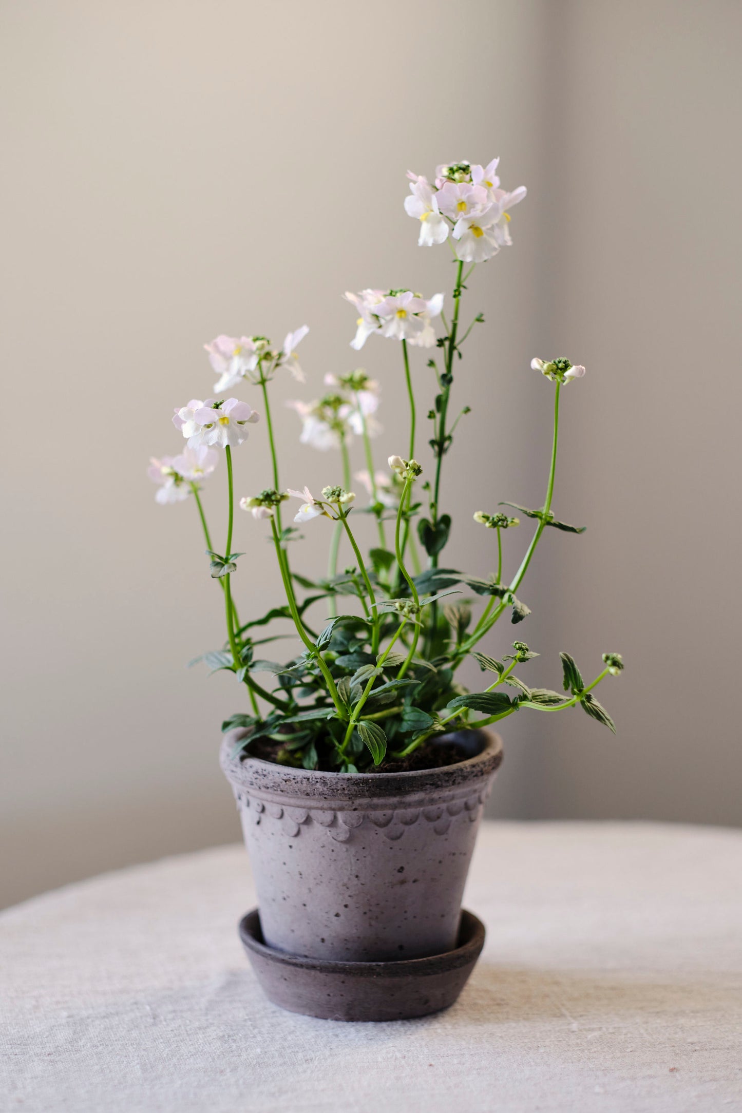 Garden Pot Copenhagen - Grey