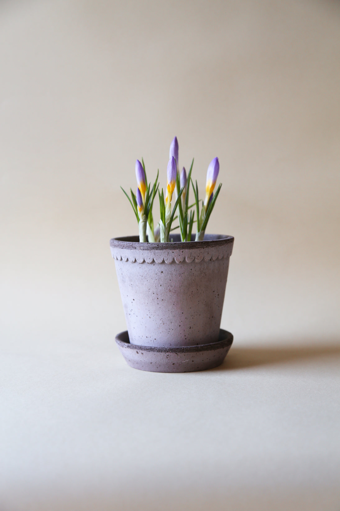 Garden Pot Helena - Grey
