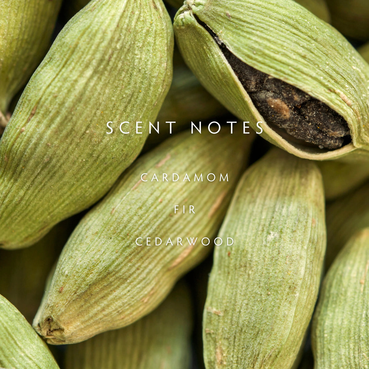 Candle - Fall Cedar Cardamom