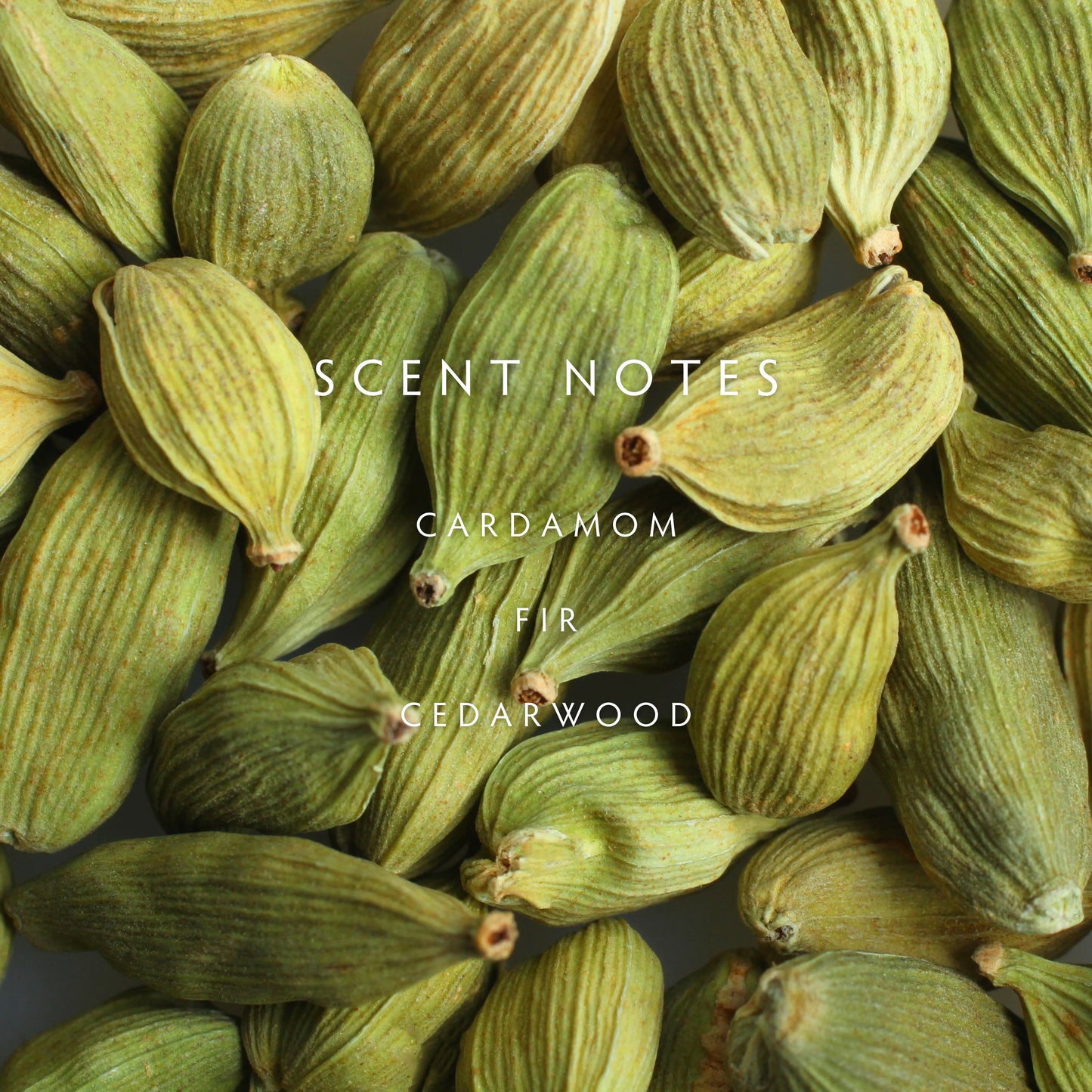 Reed Diffuser - Fall Cedar Cardamom
