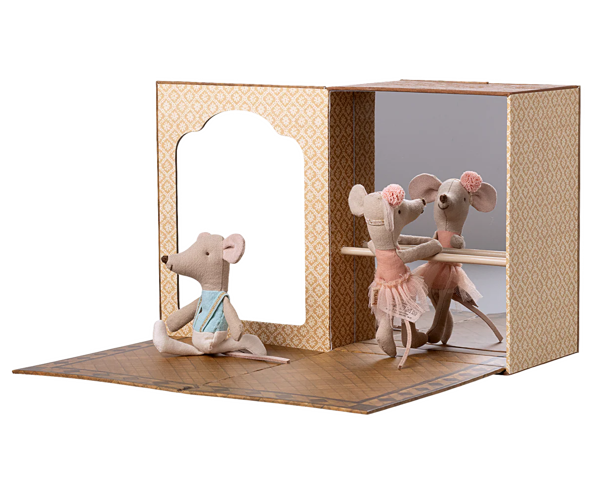 Little Brother & Sister - Ballet Mice in Dance Studio